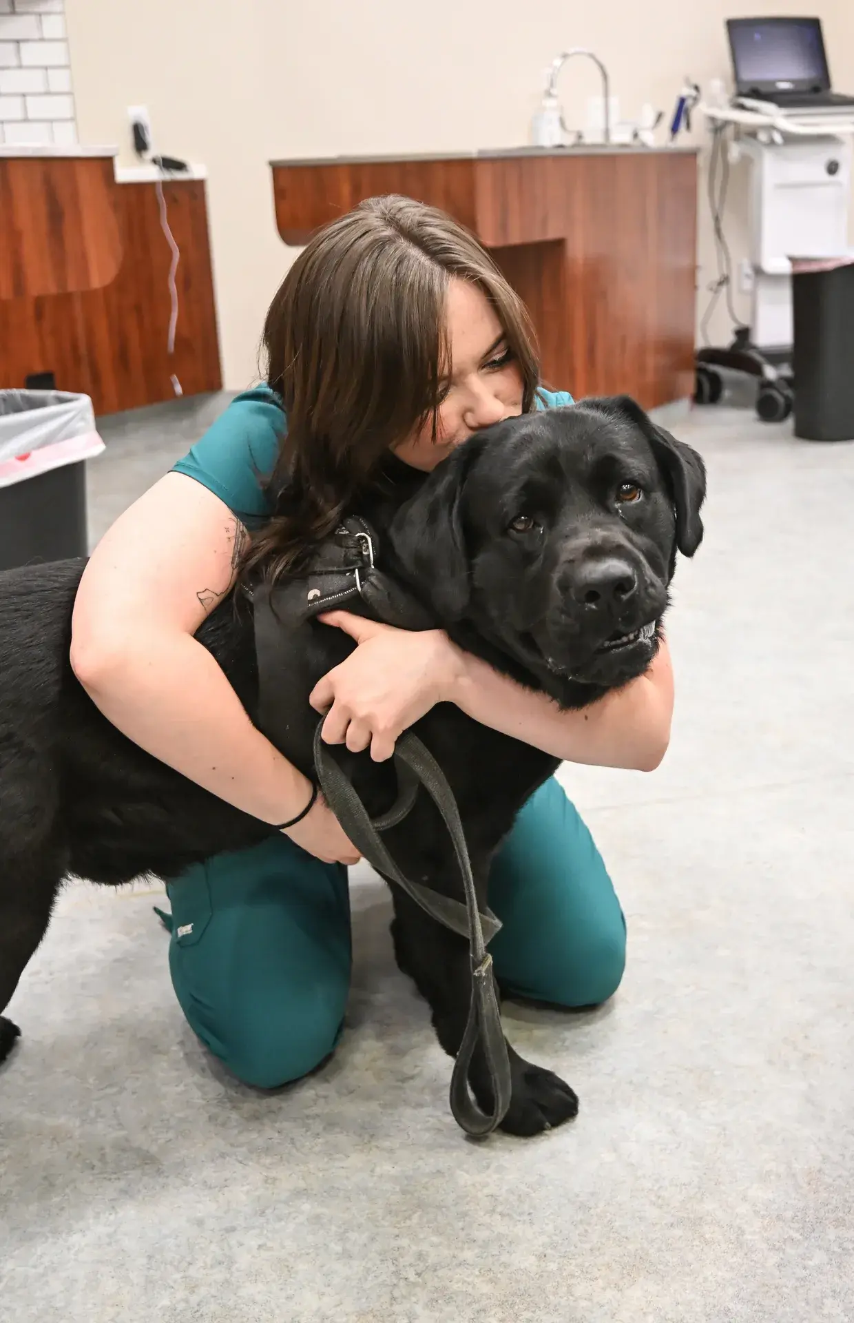 A Symbios Animal Health team member comforting a dog